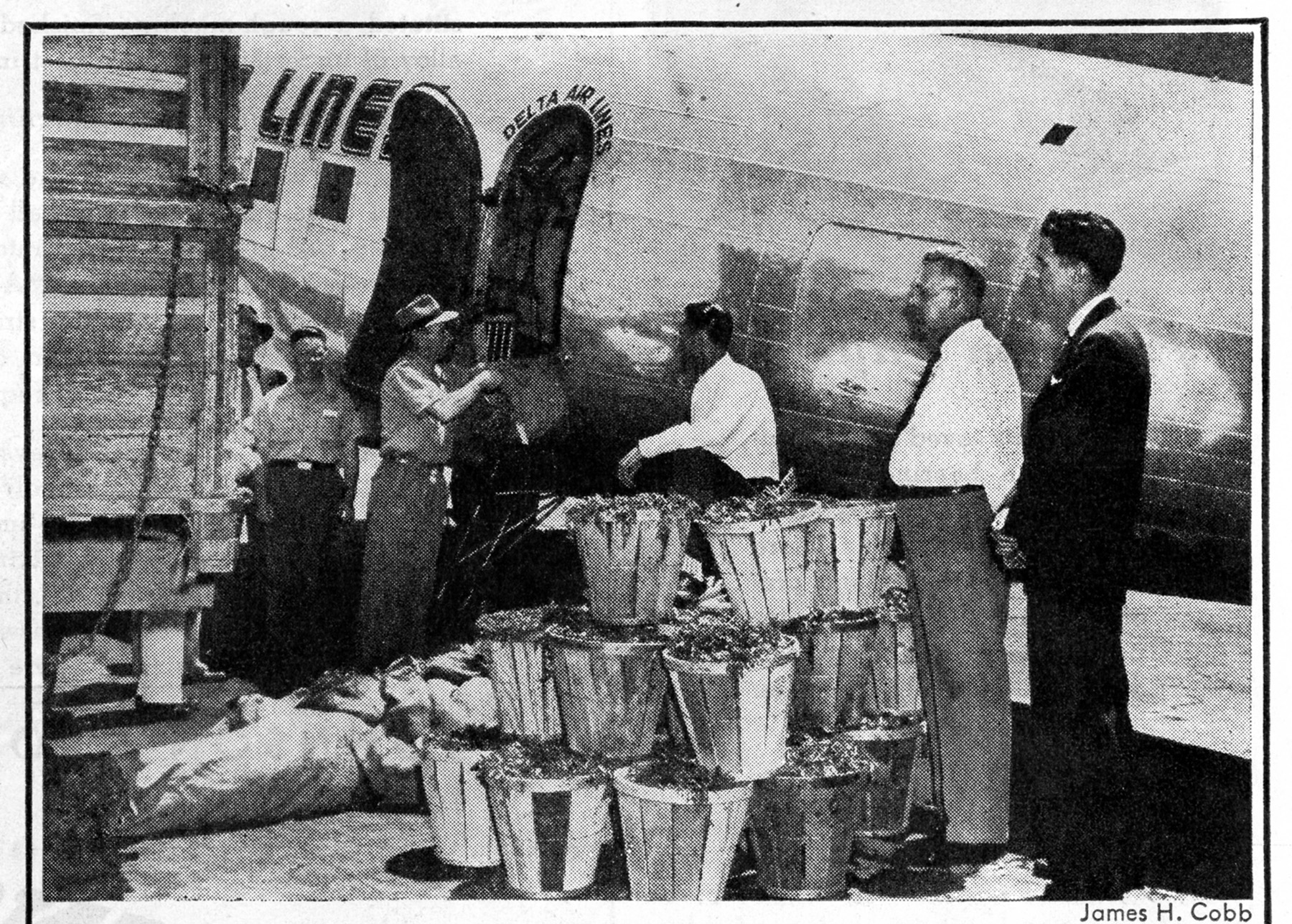 dl_cargo_tomato_plants_time_mag_19450521